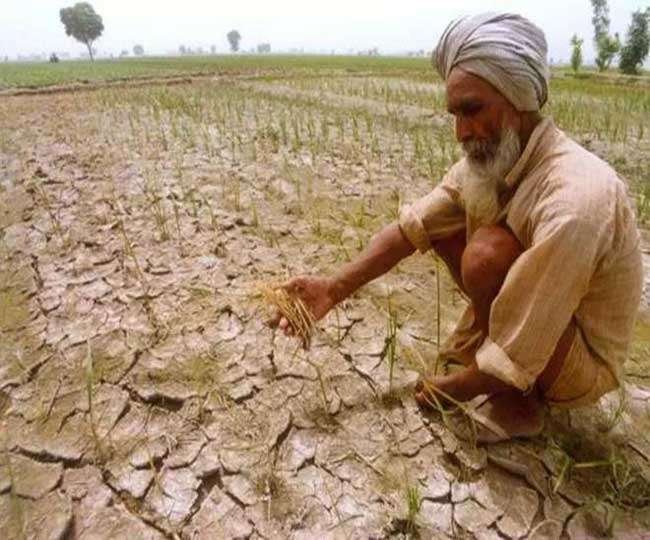 पंजाब का कृषि क्षेत्र बदलती जमीनी हकीकत और संघर्ष का निशाना 