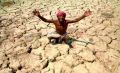 भारत के मौजूदा कृषि संकट की अन्तरवस्तु
